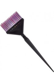 ČOPIČ ZA BARVANJE - COLORIST